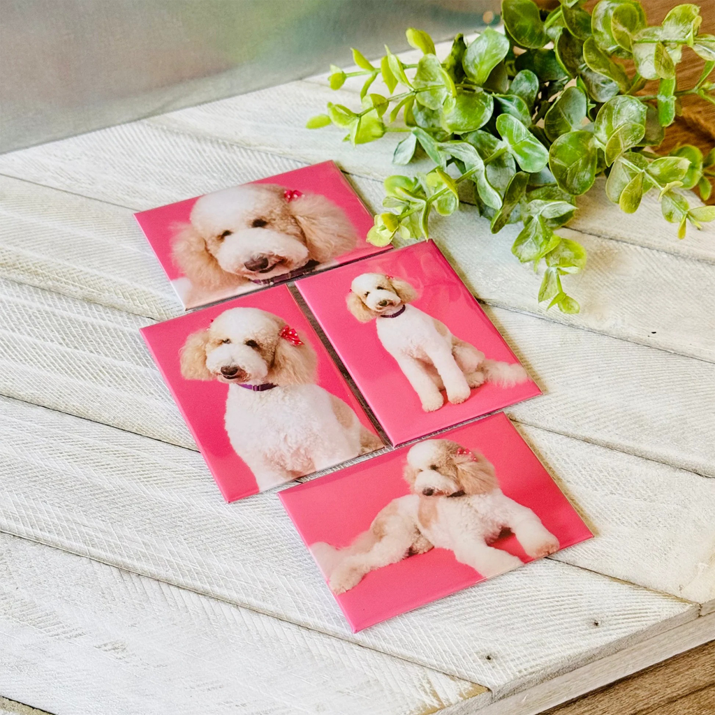 SET Custom Photo Magnet - 2.2 x 3.2 inches (5.5 × 8.1 cm)